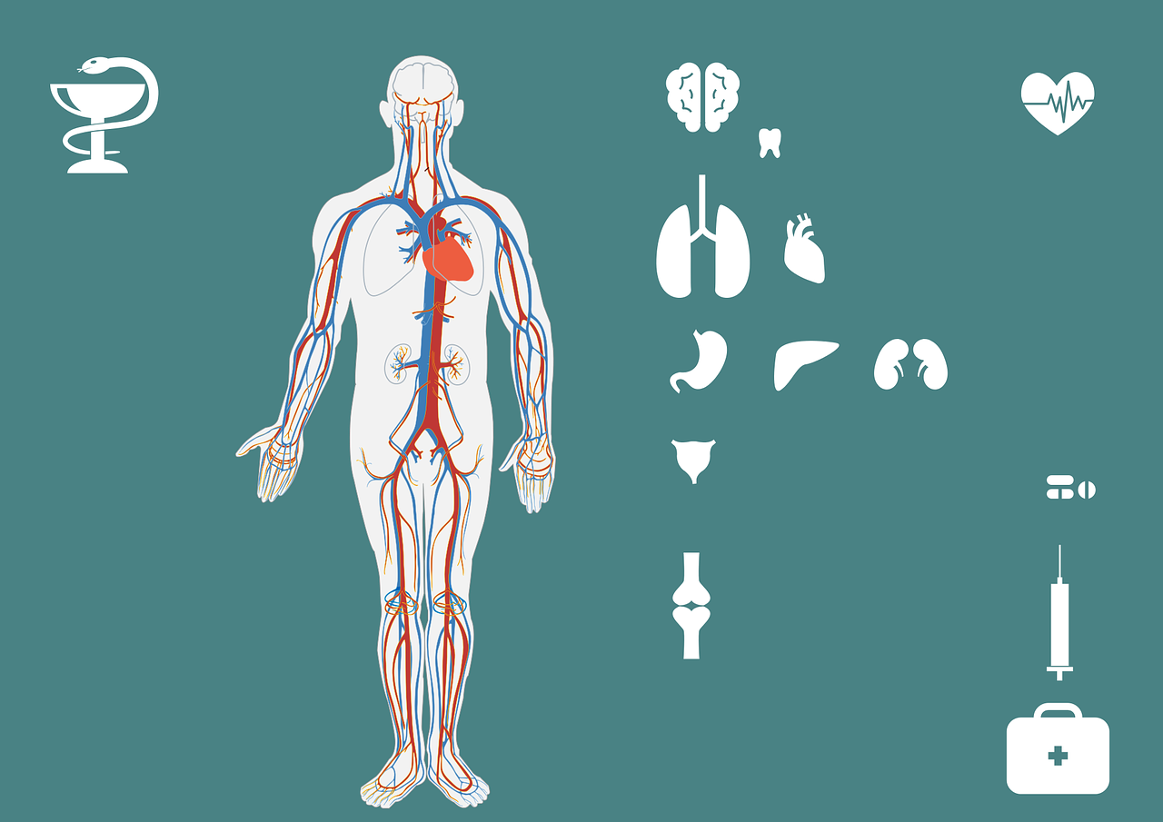 脊柱裂最新治療方法詳解，探索與理解其應(yīng)用與效果