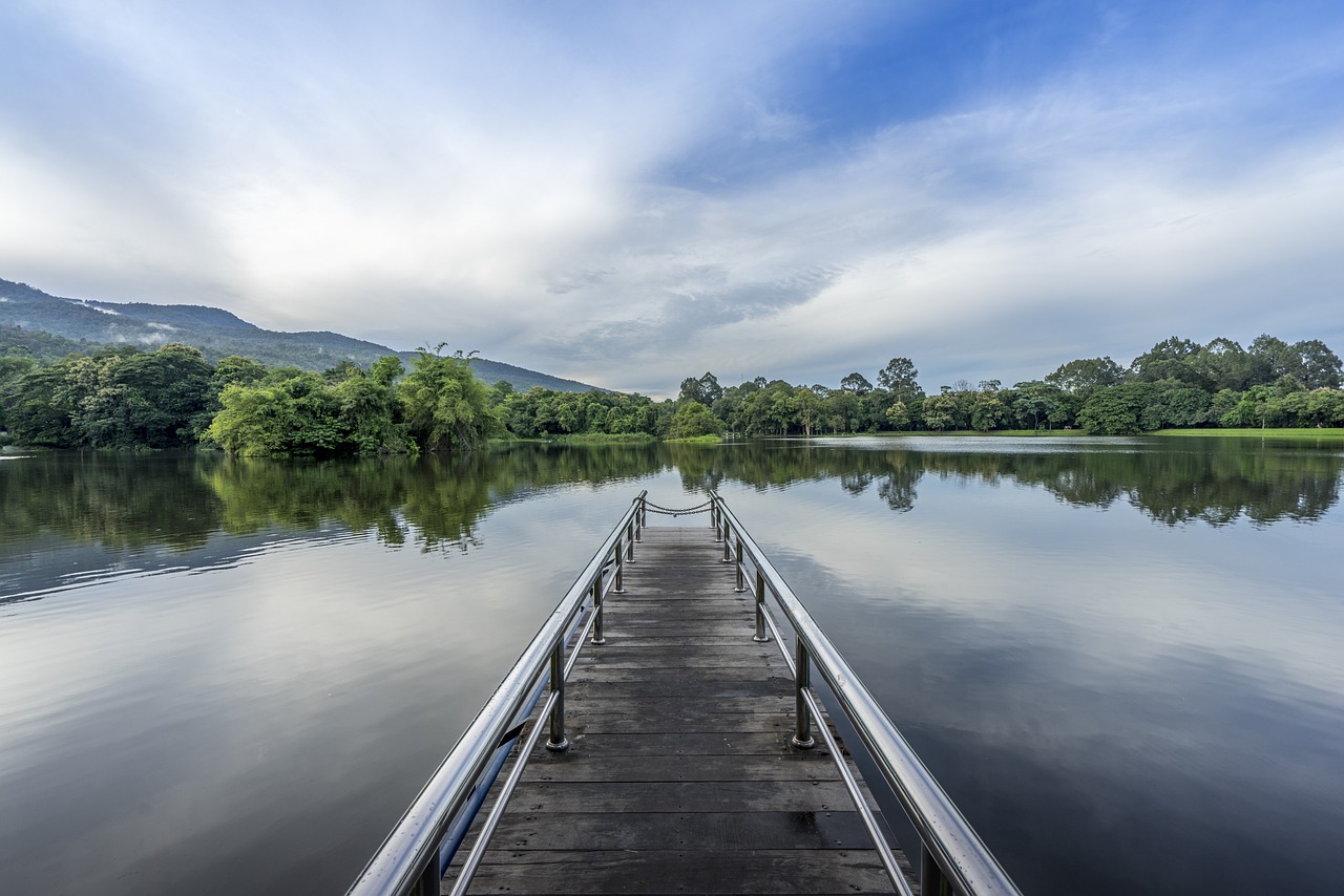 全園最新疫情，挑戰(zhàn)與應(yīng)對(duì)策略綜述